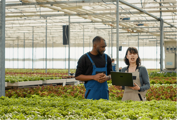 Agricultural Businesses