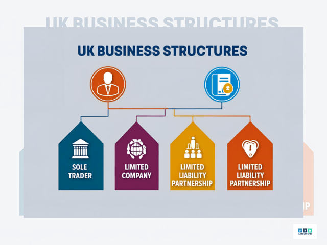 Whiteboard showing flowchart of UK business structures like sole trader, limited company.